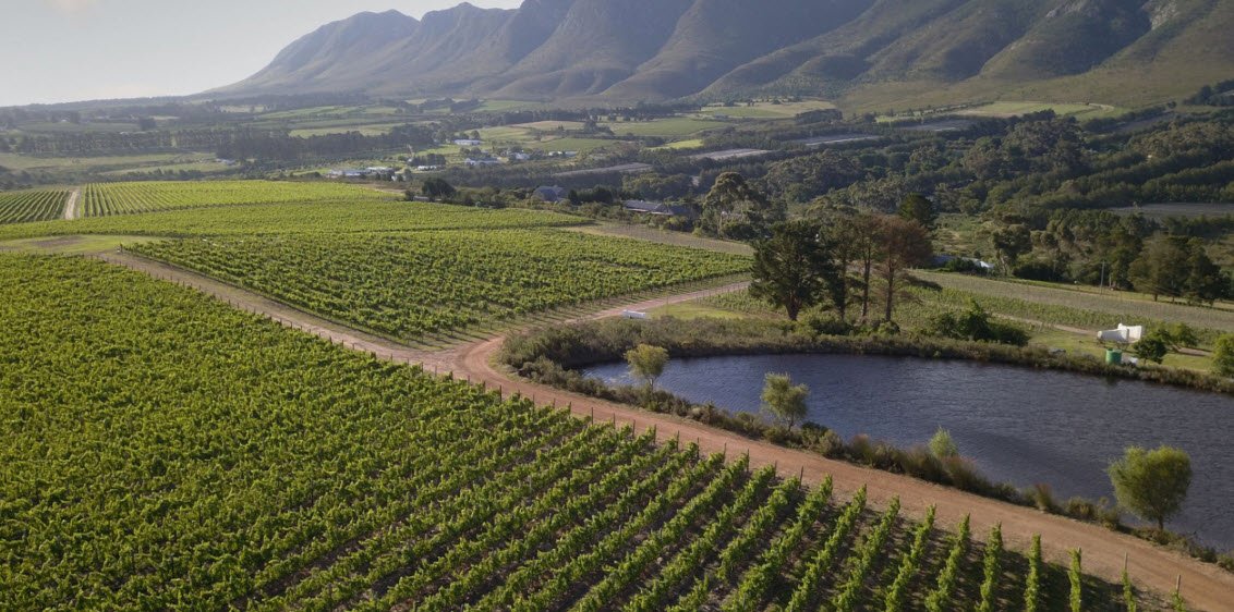 Stellenbosch Wine Route